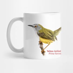 Yellow-bellied Prinia | Prinia flaviventris Mug